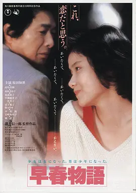 一级影院热映悬疑片《雾港追凶》